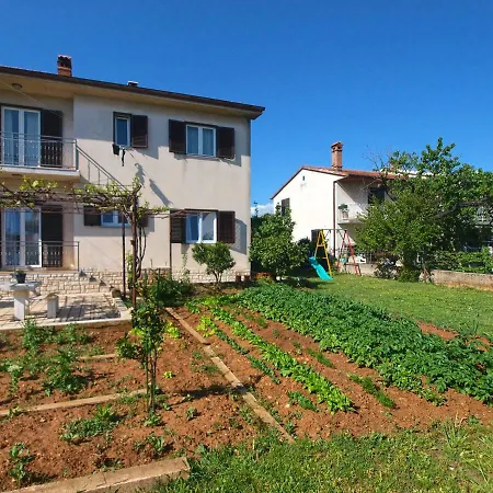 Suzana 1850 * Pula